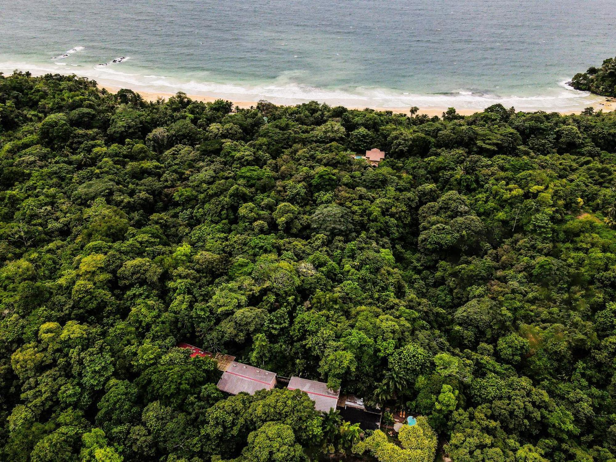 Socialtel Red Frog Hotel Bocas del Toro Buitenkant foto